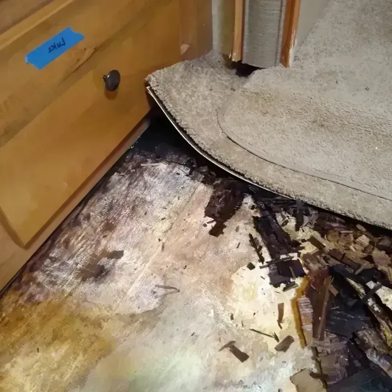 Best Wood Floor Water Damage Service in Bourbonnais, IL